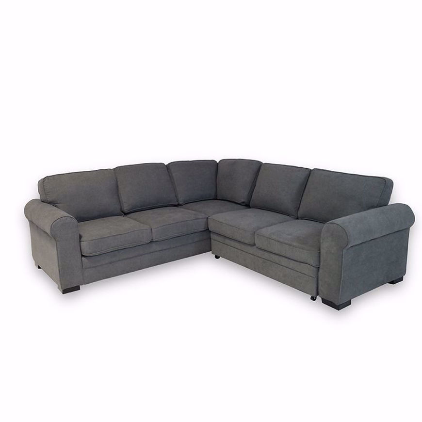 Picture of Abigail 2 Pc LAF Sectional Sleeper
